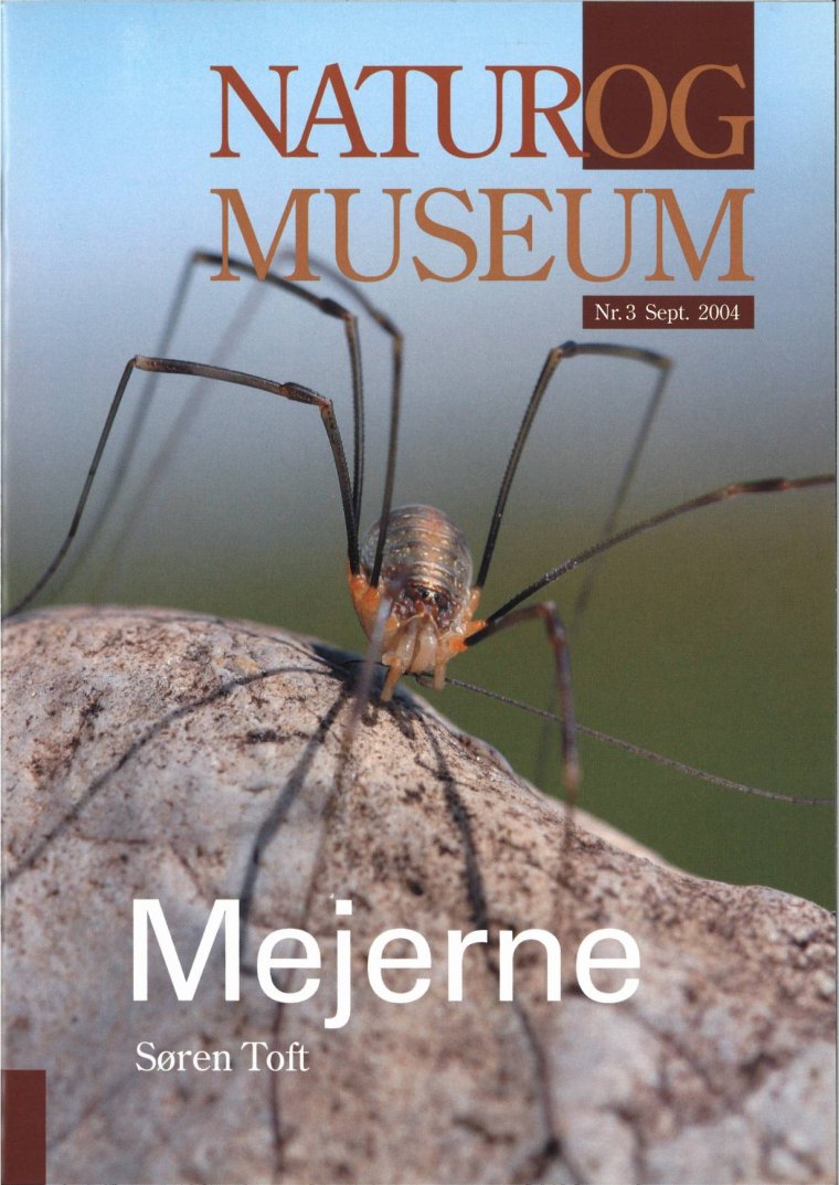 Mejerne